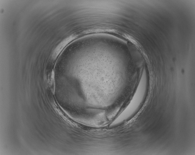 X0000055981185200509021604