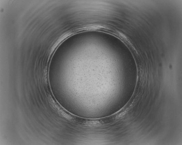 X0000055981186200509021604
