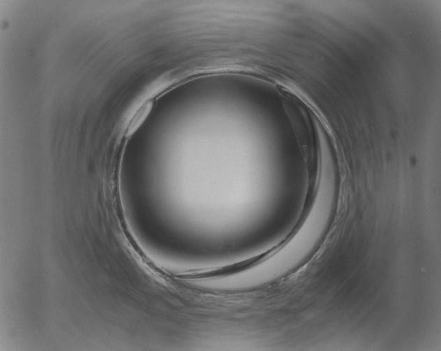 X0000055981197200509021604