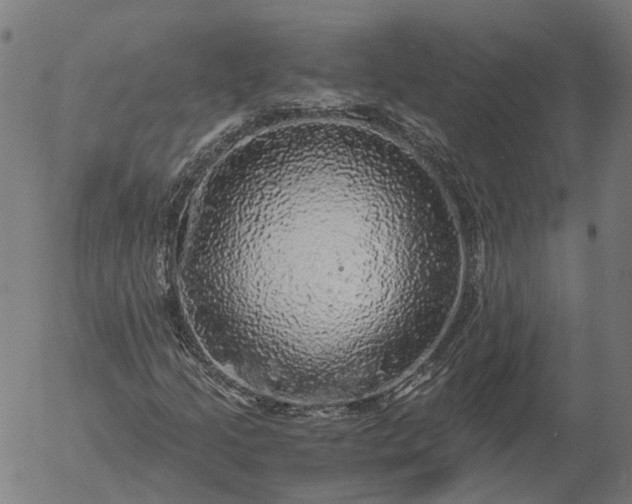 X0000055981205200509021603