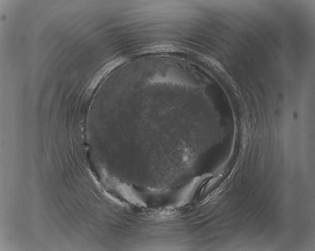 X0000055981225200509021604
