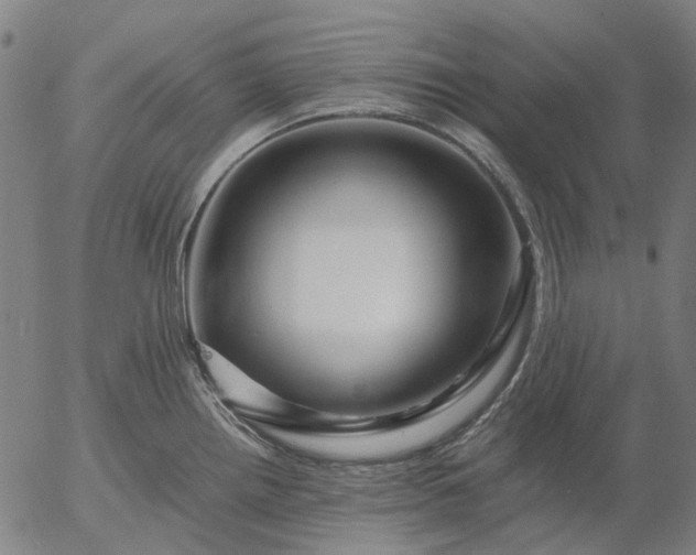 X0000055981242200509021604