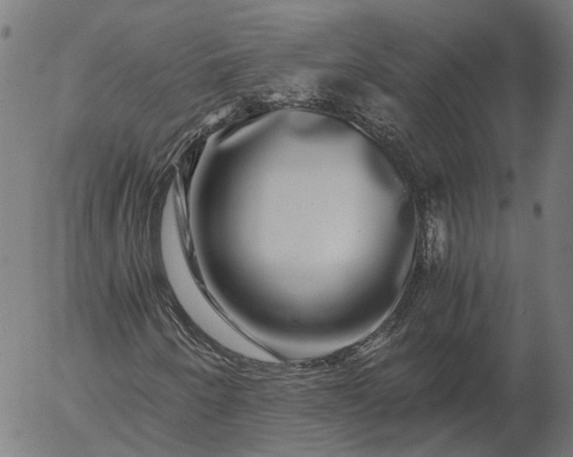 X0000055981250200509021603