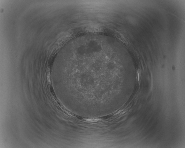 X0000055981251200509021603