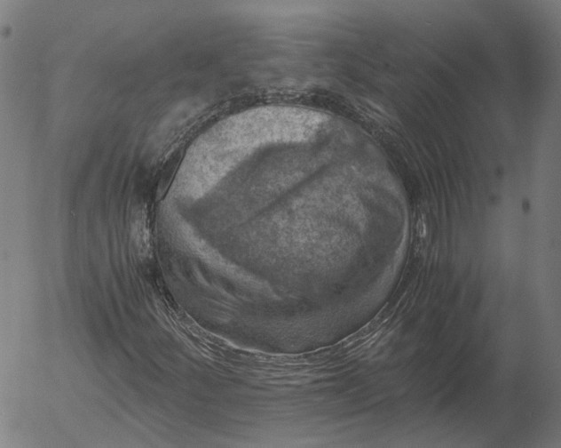 X0000055981252200509021603