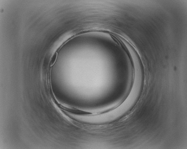X0000055981293200509021603