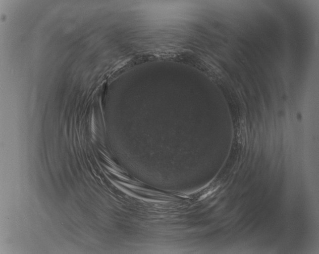 X0000055981298200509021602
