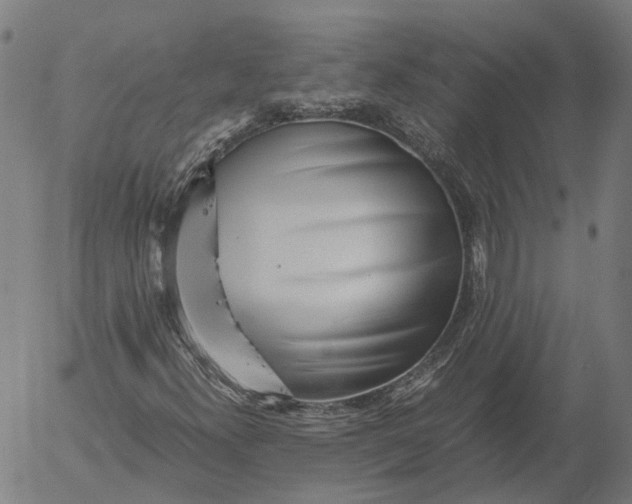 X0000055981300200509021602