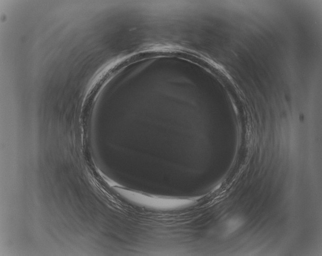 X0000055981319200509021602