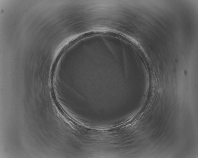 X0000055981327200509021602