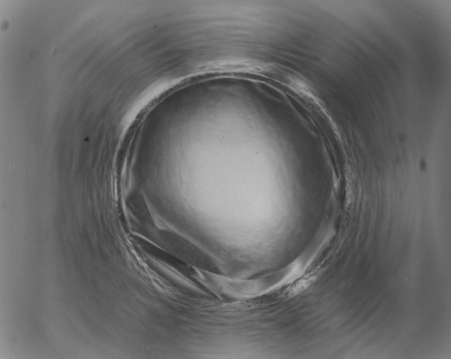 X0000055981328200509021602