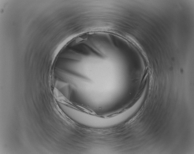 X0000055981340200509021602