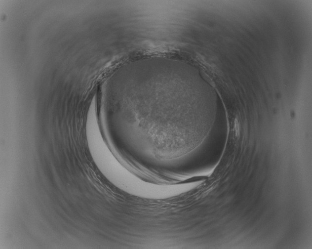 X0000055981348200509021602