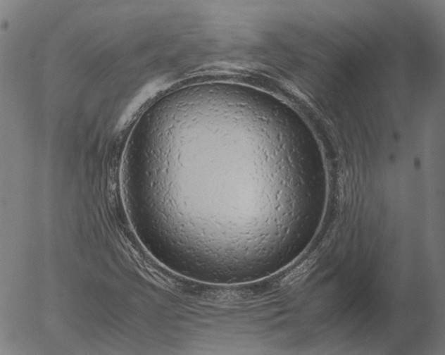 X0000055981355200509021602