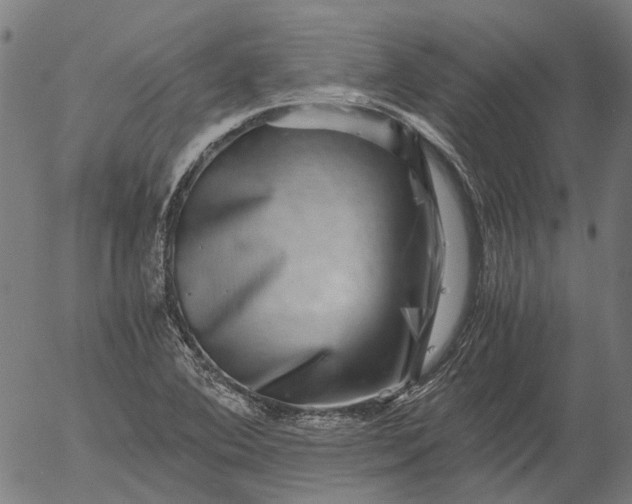 X0000055981364200509021601