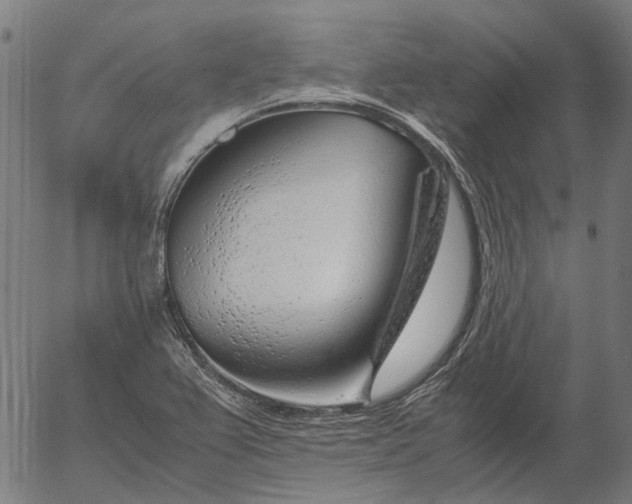 X0000055981367200509021601