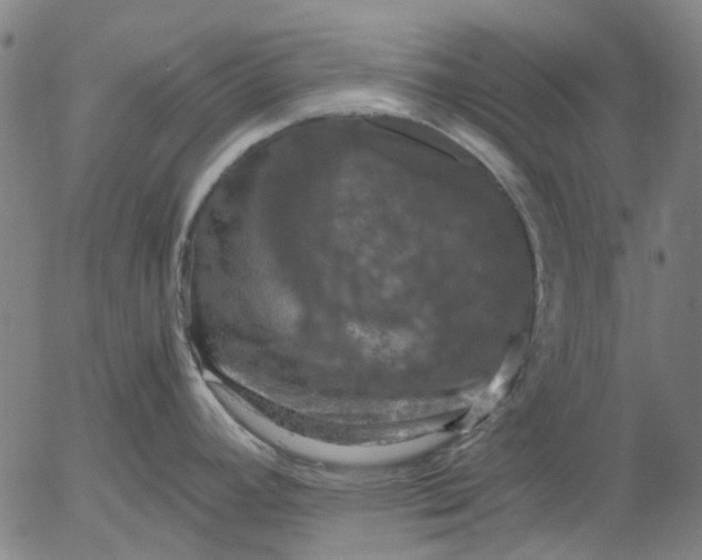 X0000055981392200509021601