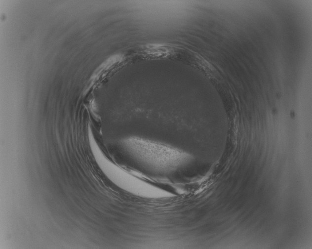 X0000055981394200509021600