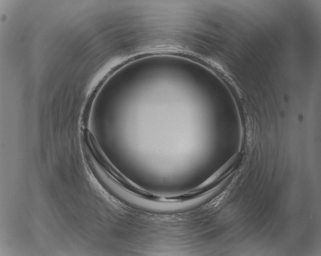 X0000055981422200509021601