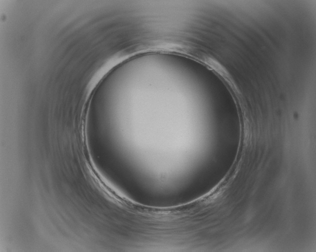 X0000055981436200509021601