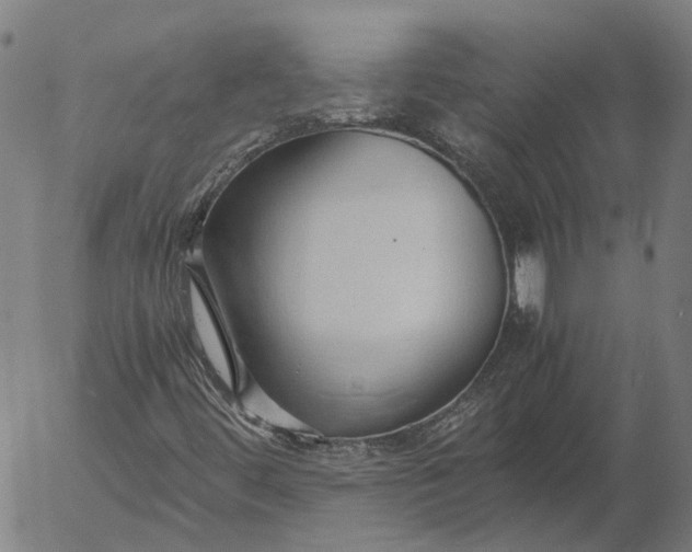 X0000055981444200509021600