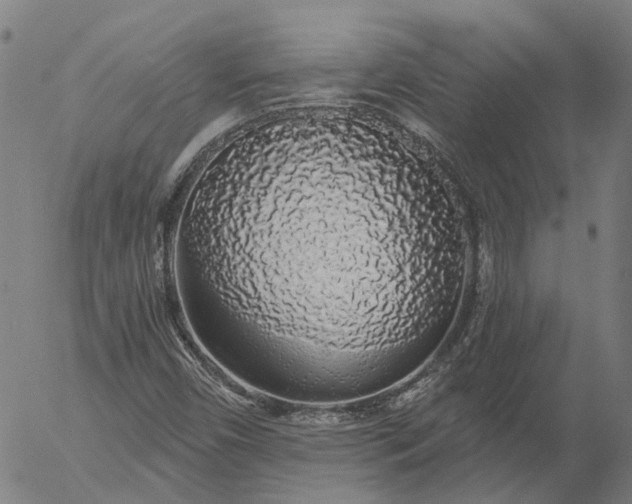 X0000055981450200509021600