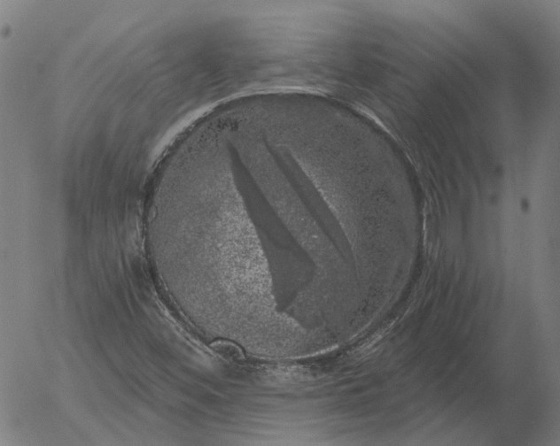 X0000055981452200509021600