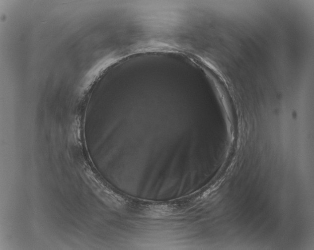 X0000055981455200509021600