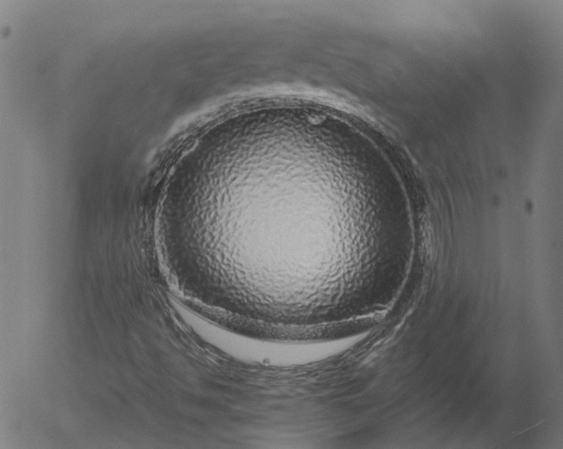 X0000055981494200509021559