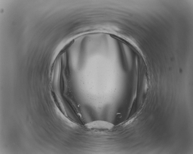 X0000055981532200509021559
