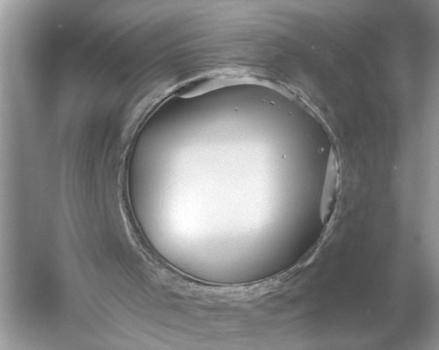 X0000055980001200509092005