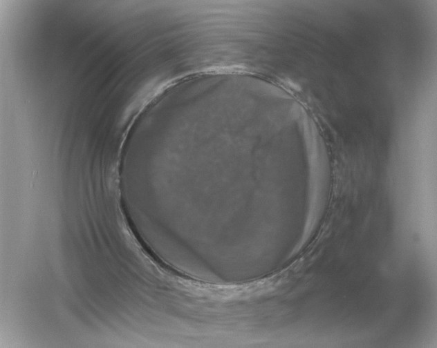 X0000055980002200509092005