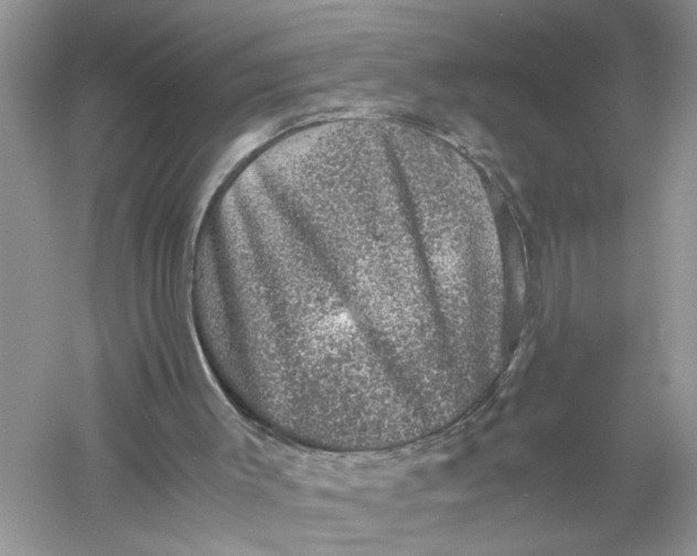 X0000055980003200509092005