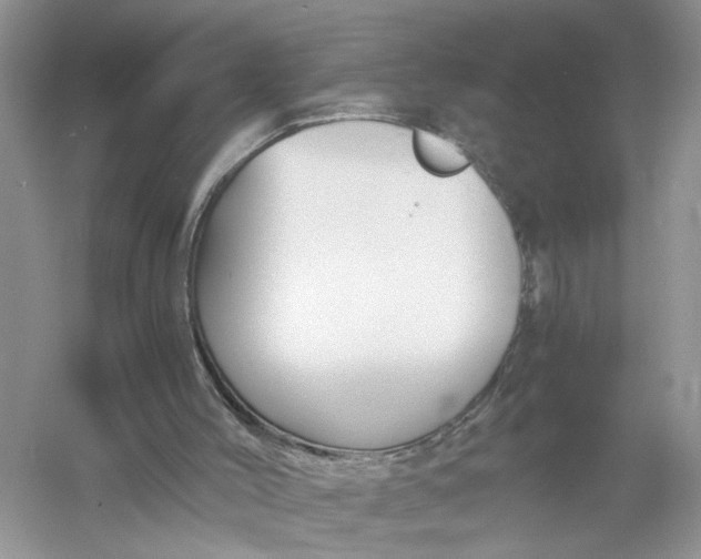 X0000055980004200509092005