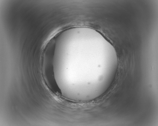 X0000055980005200509092005