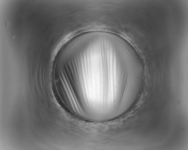 X0000055980007200509092005