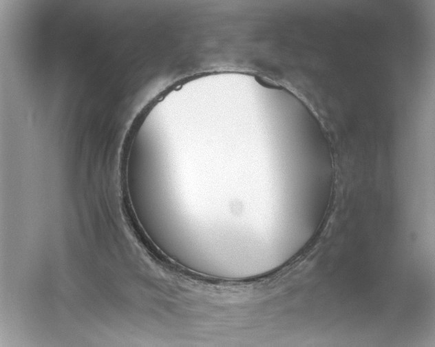 X0000055980008200509092005