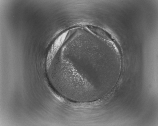 X0000055980009200509092005