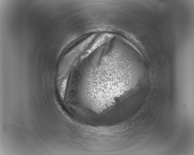 X0000055980010200509092005