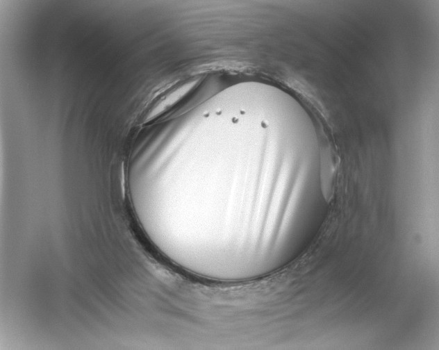 X0000055980013200509092005