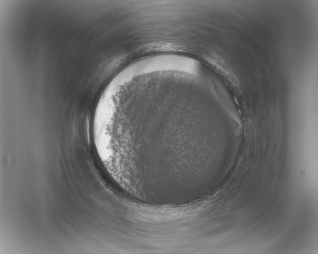 X0000055980014200509092005