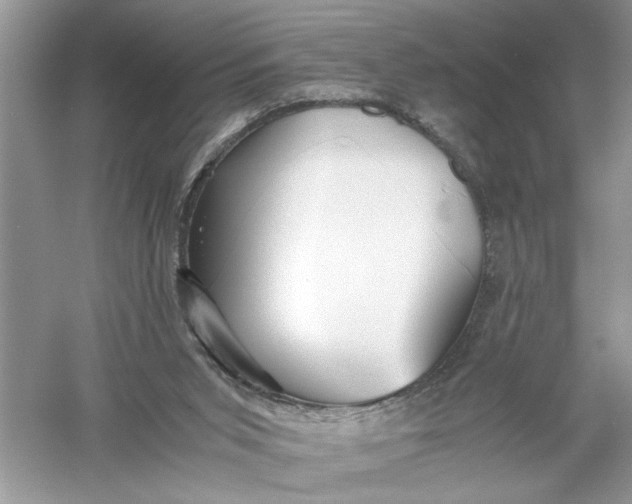 X0000055980015200509092005