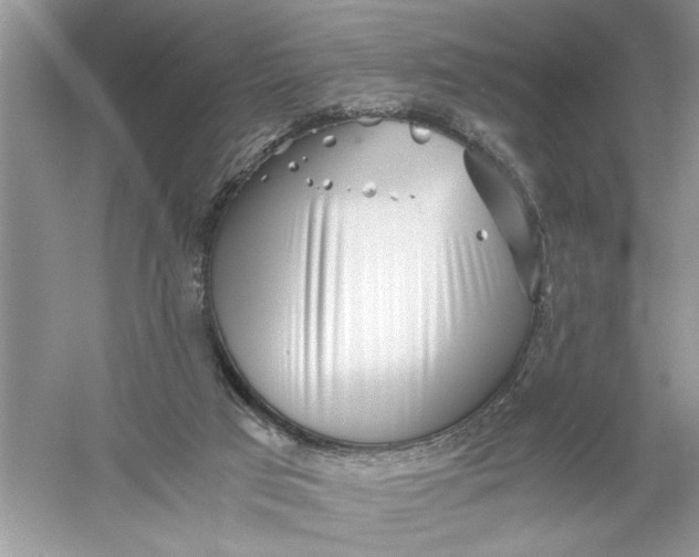 X0000055980017200509092005