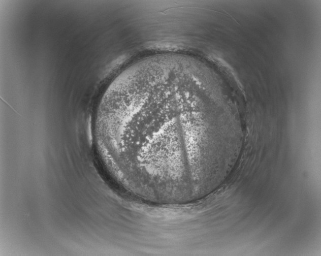 X0000055980020200509092005