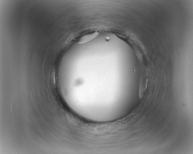 X0000055980021200509092005