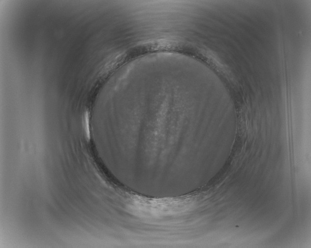 X0000055980022200509092005