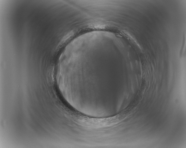 X0000055980023200509092005