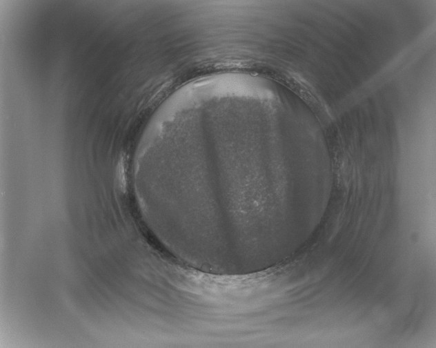 X0000055980026200509092005