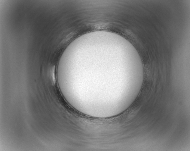 X0000055980028200509092005