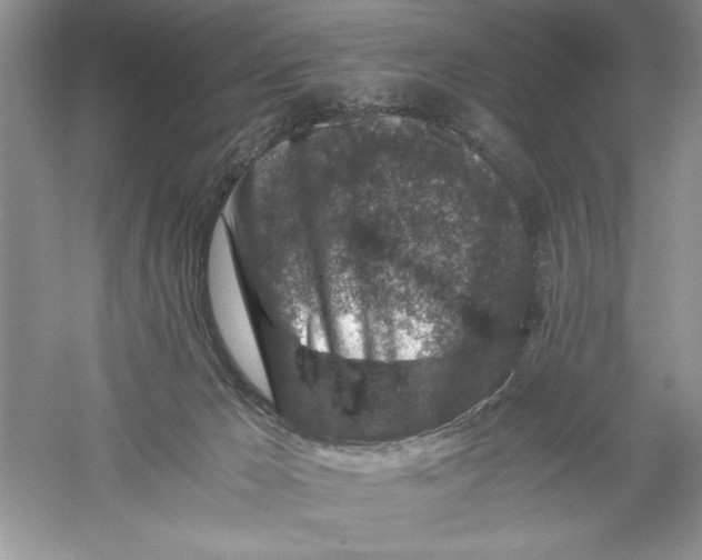 X0000055980029200509092005